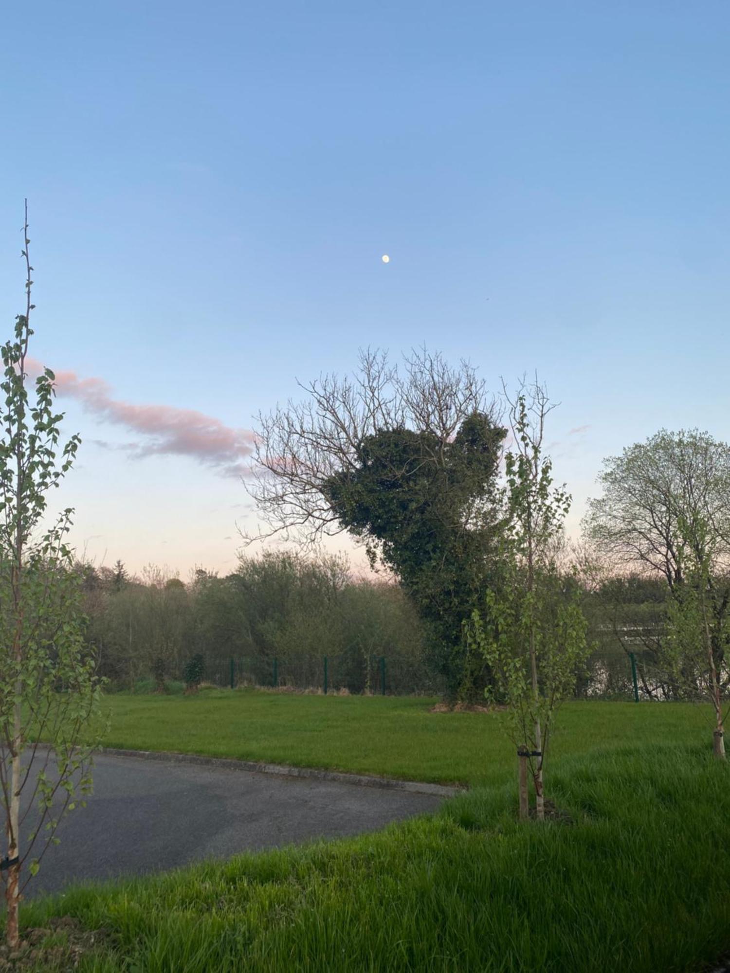 Killyfole Lakeside Lodges Corranny Exterior photo